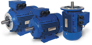 images/stories/electro-motor1.jpg