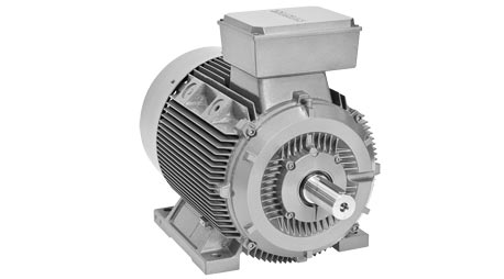 standardmotor-1a1lg