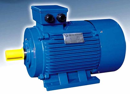 PEM electro motor